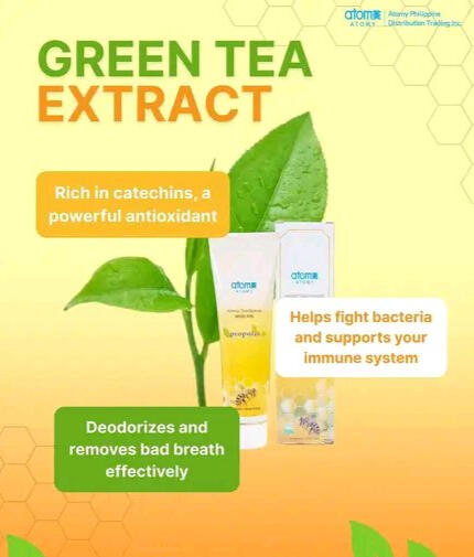 Green Tea Extract Green Tea Extract